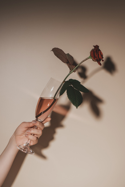 partial view of woman holding champagne glass with red rose flower on beige background - Valokuva, kuva