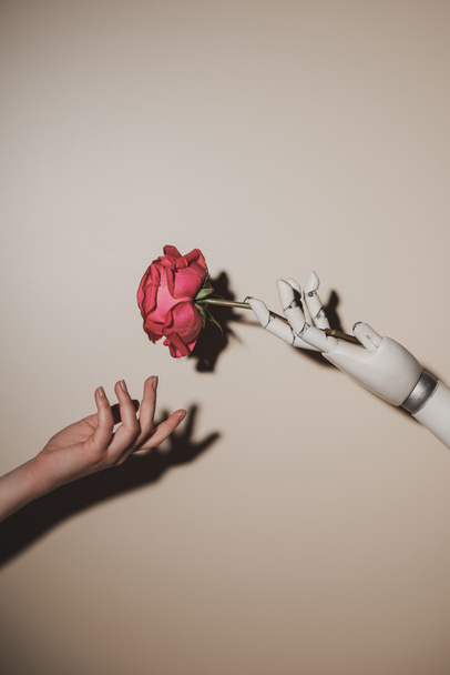 gedeeltelijke weergave van vrouw en robotic hand met rood roze bloem op beige achtergrond - Foto, afbeelding