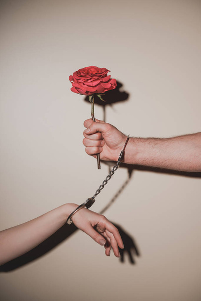 partial view of woman and man in metal handcuffs holding red rose flower on beige background - Foto, imagen