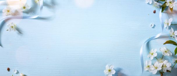 Kevät kukka tausta kevät valkoinen kukka; kirkas pääsiäinen tausta
 - Valokuva, kuva