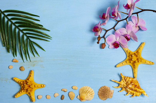 Orchid, seashells, starfish and leaf of palm tree on a blue wooden background. - Photo, Image