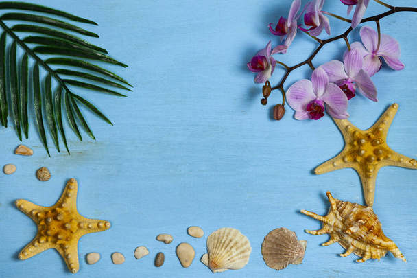 Orchid, seashells, starfish and leaf of palm tree on a blue wooden background. - Photo, Image