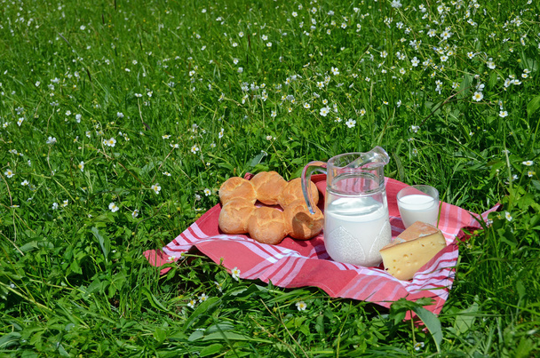 melk, kaas en brood geserveerd op een picknick op alpine weide, swit - Foto, afbeelding
