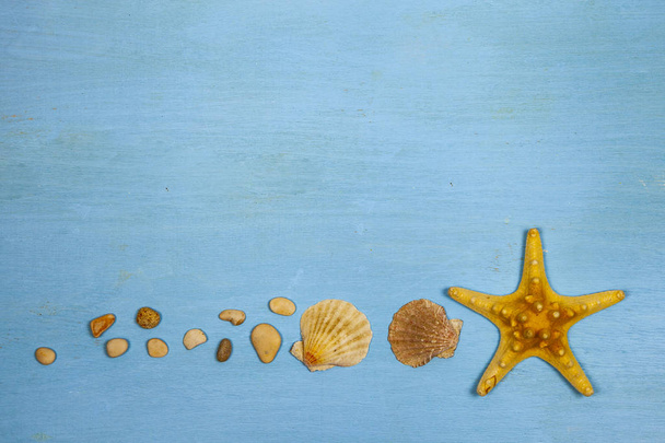 Border of seashells, starfish and sea pebbles on a blue wooden background. - Photo, Image