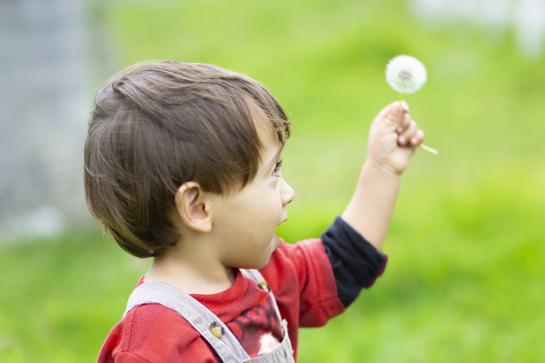 Happy boy blowing white dandelion outdoors - Фото, изображение