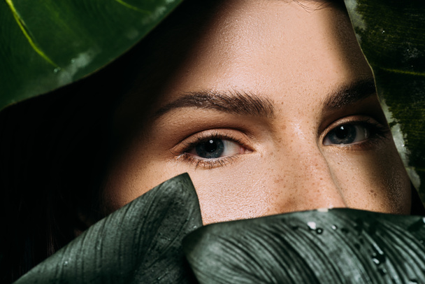 attractive woman with freckles posing with green palm leaves - Fotografie, Obrázek