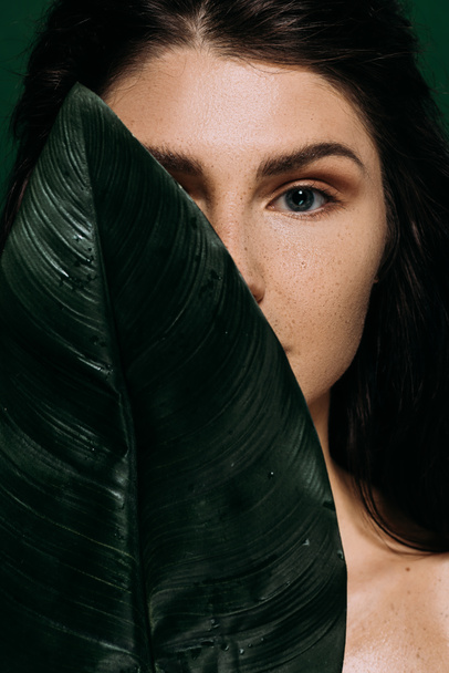 όμορφη γυναίκα με τέλειο δέρμα ποζάρει με φύλλο πράσινο φοίνικα - Φωτογραφία, εικόνα