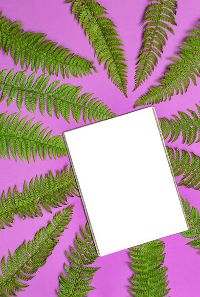 Летний фон, зеленые листья и бланшированный белый лист для текста на ярко-розовом фоне сверху плоский. Летняя цветочная композиция, рамка из зеленых листьев
 - Фото, изображение