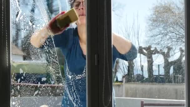 女性は、家の窓を洗う  - 映像、動画