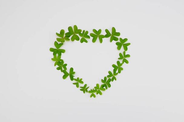 Natural minimal green heart frame from clover leaves, isolated on white background with copy space, template mockup - Photo, Image
