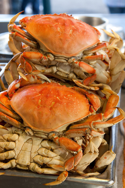 Crabes dormeurs
 - Photo, image