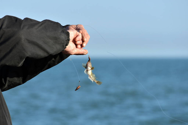 De man nam de vis naar de hengel en hield het in zijn handen proberen te bevrijden uit de haak. - Foto, afbeelding