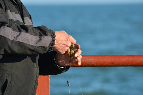 The man took the fish to the fishing pole and held it in his hands trying to free it from the hook. - Photo, Image