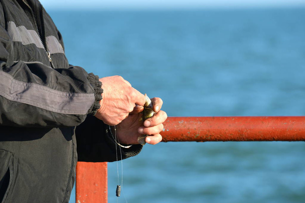 Muž vzal ryby na rybářský prut a držel ji v rukou se snaží osvobodit od háčku. - Fotografie, Obrázek