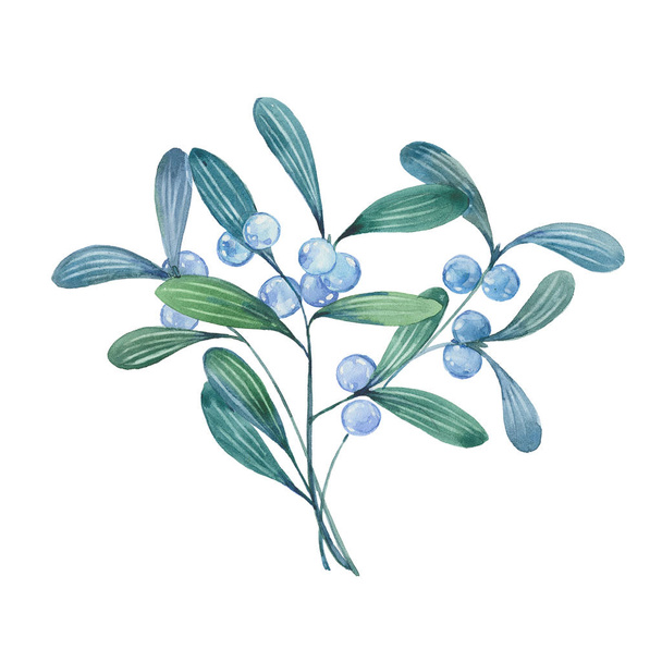 watercolor mistletoe twig - Φωτογραφία, εικόνα