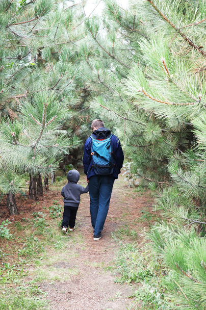 Isä ja poika kävelevät havumetsässä mäntyjen keskellä. Käsite perheen arvot, vaellus
 - Valokuva, kuva