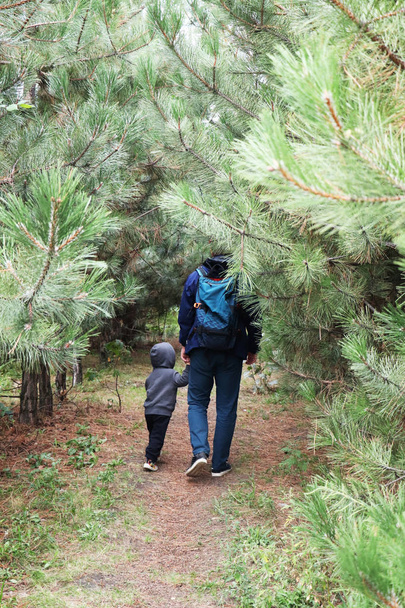 Πατέρας και γιος με τα πόδια στο δάσος κωνοφόρων ανάμεσα στα πεύκα. Η έννοια των οικογενειακών αξιών, Πεζοπορία - Φωτογραφία, εικόνα