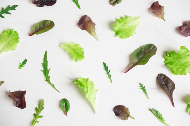 Green salad leaves on a white background. Pattern with lettuce leaves. Background design with leaves for salad. Pattern with lettuce leaves. - 写真・画像