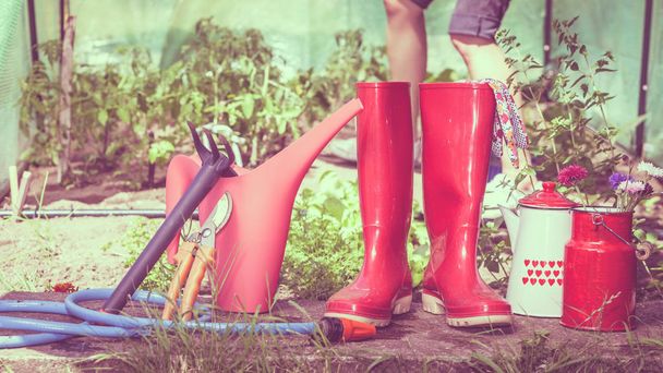  Gardening tools outdoor in garden, red rubber boots water can blue hose, greenhouse in the background - Foto, immagini