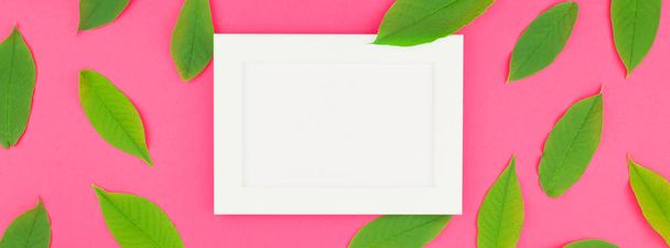 Creatieve plat lag bovenaanzicht patroon met verse groene bladeren op helder roze achtergrond met witte frame mock up en ruimte in minimale pop-art stijl, sjabloon voor tekst kopiëren. Lange brede banner - Foto, afbeelding