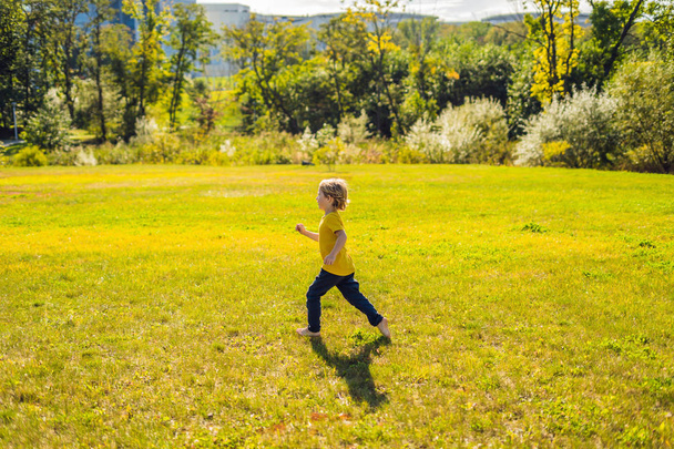 The boy runs in the park on the grass. - Fotoğraf, Görsel