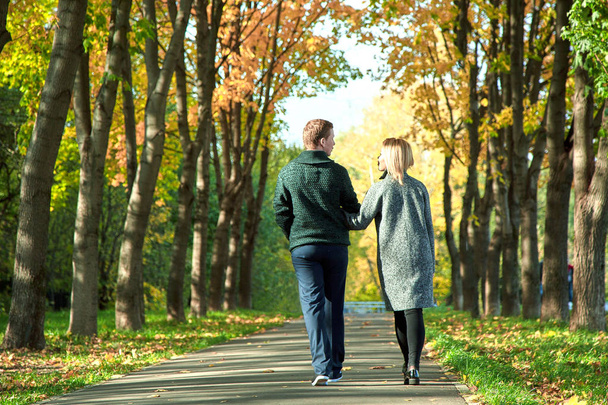 derrière de la fille et le gars main dans l'amour. amour, relation, concept de famille et de personnes - couple heureux marchant dans le parc d'été
 - Photo, image