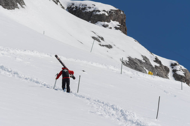 Лижний патруль піднімається на гірський схил, що несе великі лижі
 - Фото, зображення