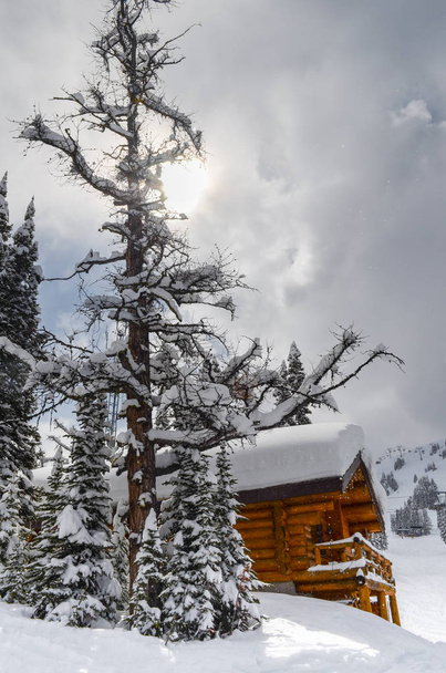 バンフ国立公園はカナダのロッキー山脈の常緑樹に囲まれた雪のキャビンします。 - 写真・画像