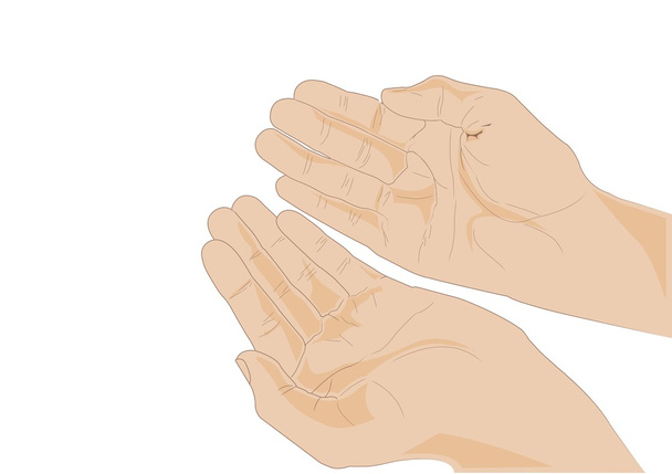 Duas mãos abertas - close-up - vetor
 - Vetor, Imagem