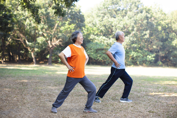 happy Senior Couple Exercising In the Park - Photo, Image