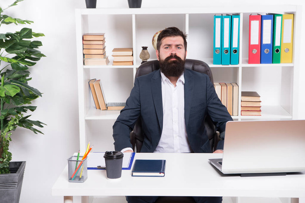 Business. Modern businessman. Bearded man. Mature hipster with beard. Male fashion in business office. Confident brutal man. Businessman in formal suit. Man. Portrait of man sitting at desk in office - Zdjęcie, obraz