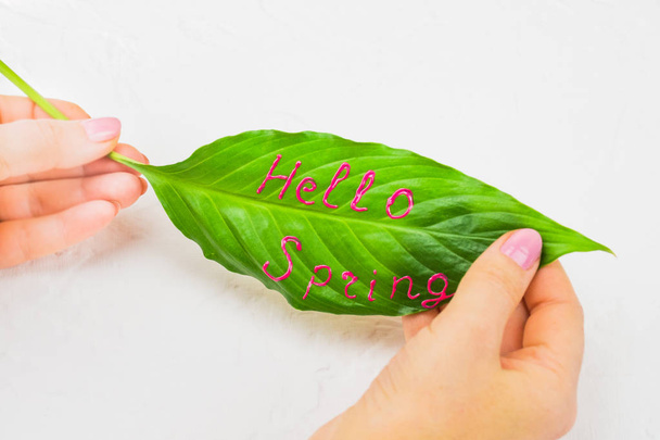 Blad bloem spathiphyllium close-up, met een mooie handtekening Hallo Lente in de handen van een meisje, op een lichte achtergrond. Lente concept van begroeting in alle - Foto, afbeelding