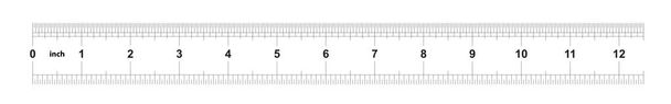 Liniaal 12 inch imperial. Liniaal 12 inch metrisch. Precieze meetinstrument. Kalibratie raster - Vector, afbeelding