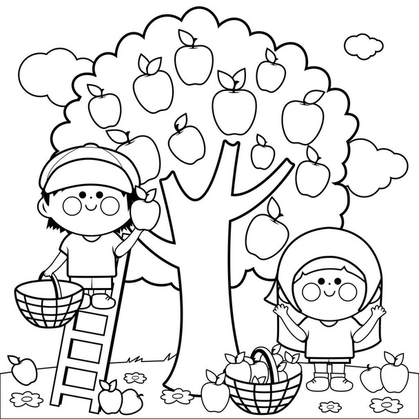 Vector black and white Illustration of two children, a boy and a girl picking apples under an apple tree. Coloring book page. - Διάνυσμα, εικόνα
