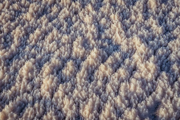 Szczegóły soli kamiennej na brzegu z Morza Martwego w Jordanii - Zdjęcie, obraz