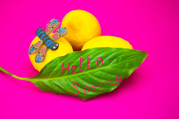 Kokonaisia sitruunoita vaaleanpunaisella pohjalla. Sitrushedelmissä on vihreä spathiphyllum-lehti, jossa on allekirjoitus Hello Spring. Lähellä sijaitsee sudenkorento lelu kangas. Käsite kirkas ja mehukas kevät
 - Valokuva, kuva