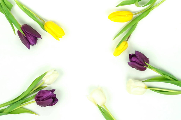 top view of beautiful tulips arranged on white background - Fotografie, Obrázek