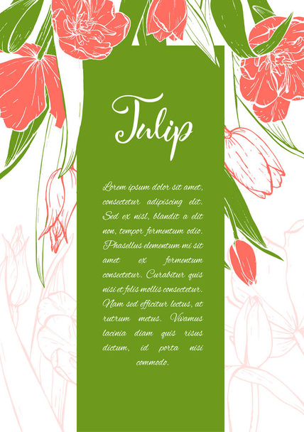 Начерк лінійних тюльпанів, що цвітуть
. - Вектор, зображення