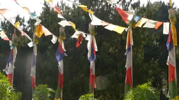 Flipping σημαίες προσευχής πολύχρωμο στο φως του ήλιου. Συμβολοσειρές με σημαίες προσευχής που κρέμεται πάνω από καταπράσινα δέντρα, στο φως του ήλιου, Νεπάλ. - Πλάνα, βίντεο