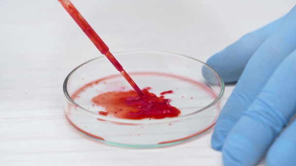 oříznutý pohled vědce pomocí Petriho misky a pipetou při zkoušce krve v laboratoři - Záběry, video