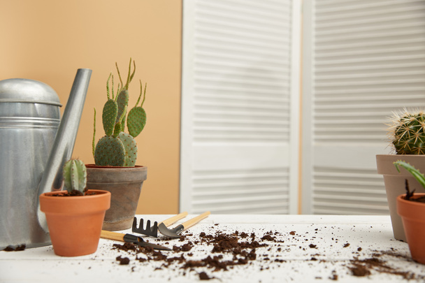 cacti and metal watering can on white surface with dirt  - Foto, Bild