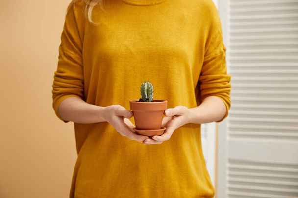 cropped view of woman in yellow sweater holding cactus in flowerpot  - Foto, Imagem