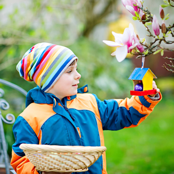 Söpö pikkupoika metsästämässä munia pääsiäisenä. Onnellinen lapsi etsii ja löytää värikkäitä munia kotipuutarhassa. Poika kevätvaatteissa kylmänä päivänä. Vanha kristillinen ja katolinen perinne
. - Valokuva, kuva