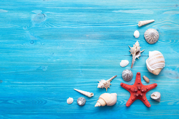 Summer sea vacation concept background with copy space. Various seashells and a red starfish on a blue wooden floor background. - Foto, Imagen