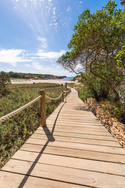 Camino a la playa de Saona en Formentera Islas Baleares
 - Foto, Imagen