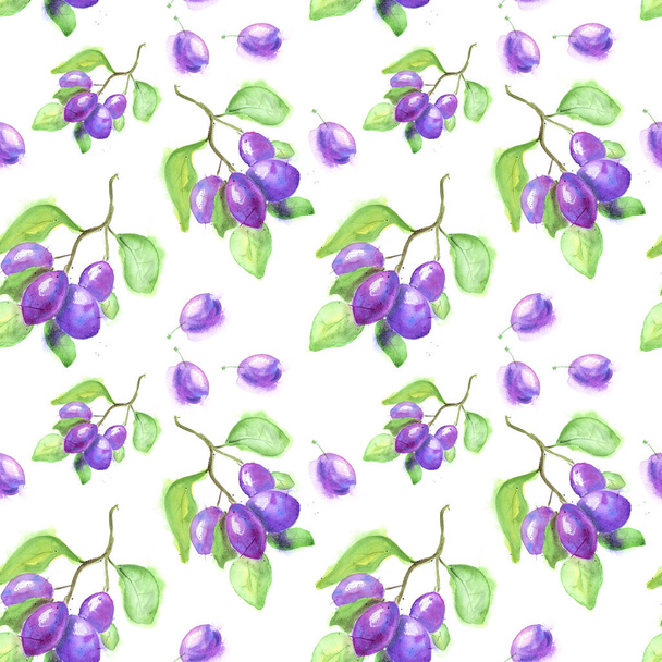 Seamless watercolor pattern with plums isolated on white background - Foto, imagen