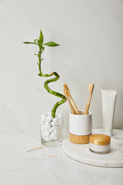 bamboo toothbrushes in holder, cosmetic cream and toothpaste in tube on round board near green bamboo stem in vase on white marble background - Photo, Image