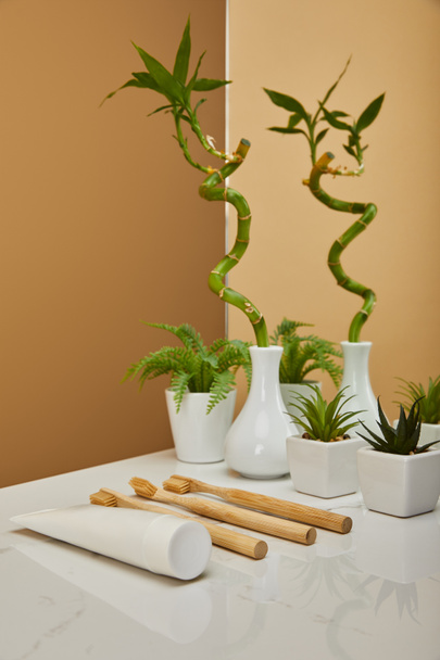green bamboo stem in vase and pots with plants, toothpaste in tube, toothbrushes beside mirror on white table and beige background - Zdjęcie, obraz
