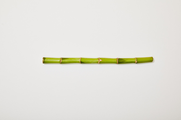 vista dall'alto del gambo di bambù verde su sfondo bianco
 - Foto, immagini
