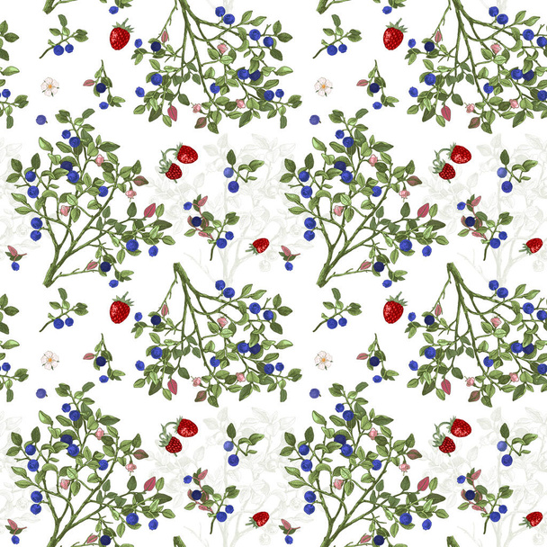 Seamless pattrn with blueberry bushes - Vector, afbeelding